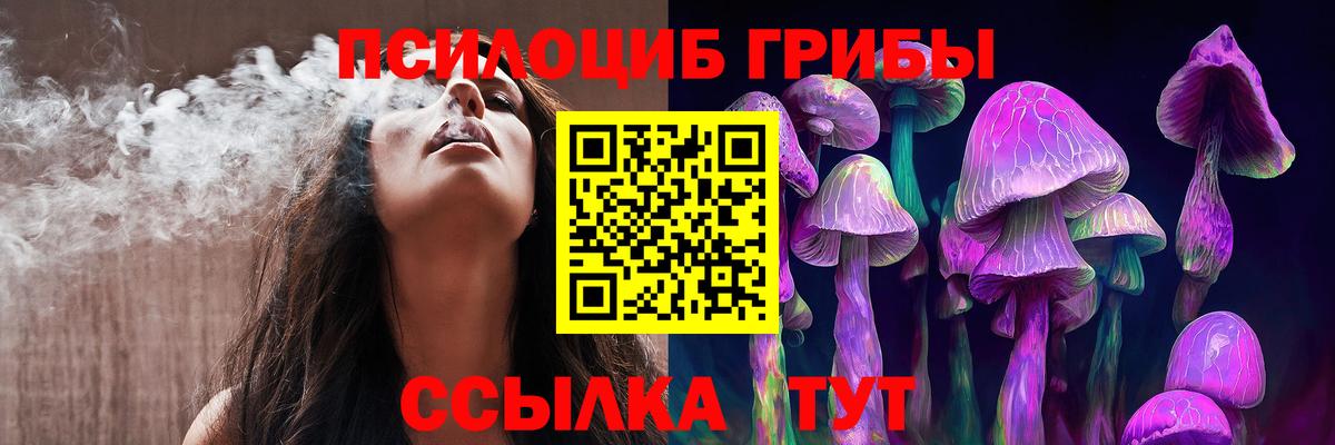Галлюциногенные грибы MAGIC MUSHROOMS  Вход с VPN  Лесосибирск 
